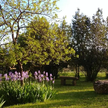 Alloggio per agriturismo Botro Pulicciano